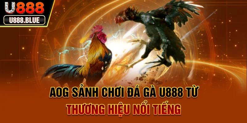 AOG - Sảnh chơi đá gà U888 từ thương hiệu nổi tiếng